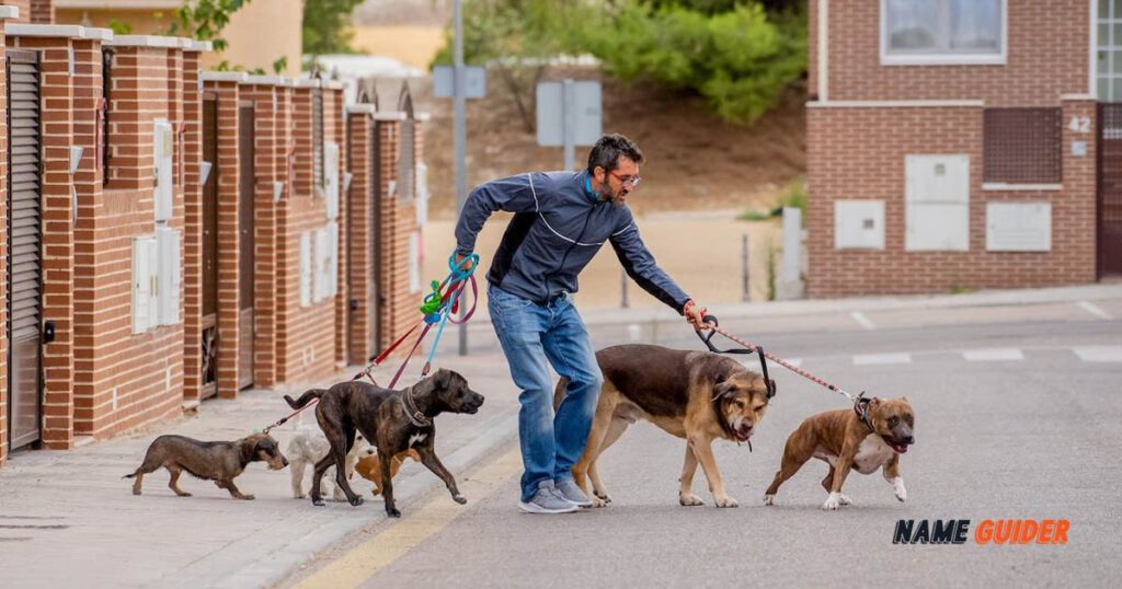 Funny Dog Walking Company Names