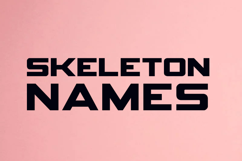 Skeleton Name