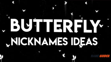 Butterfly Nicknames Ideas