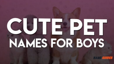 Cute Pet Names For Boys