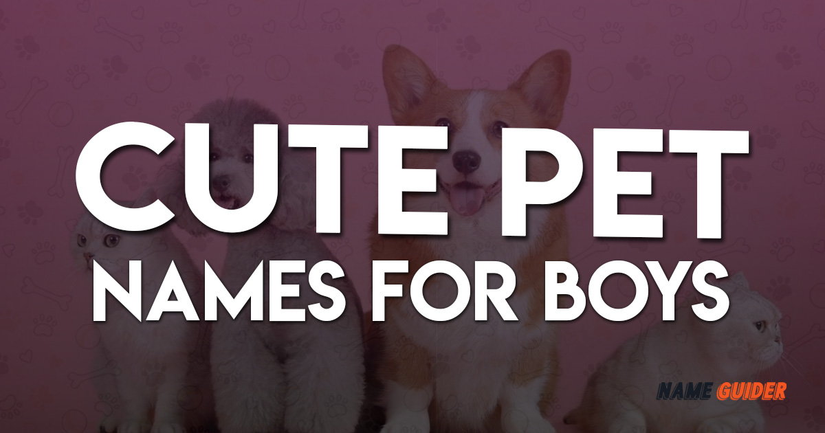 Cute Pet Names For Boys