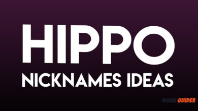 Hippo Nicknames Ideas