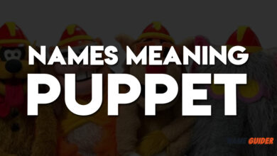 Names Meaning Puppet