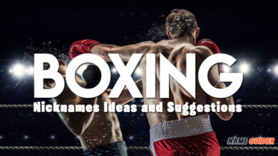 Boxing Nicknames Ideas and Suggestions