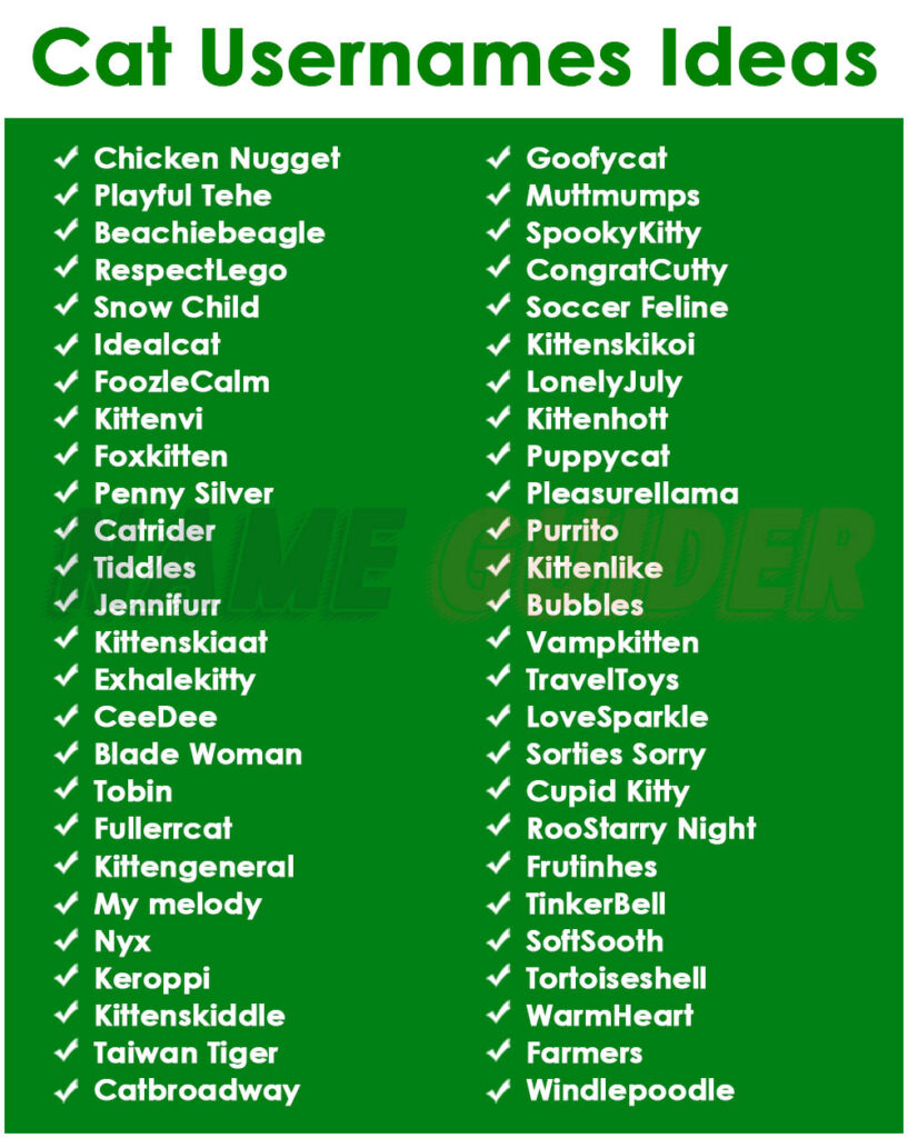 Cat Usernames Ideas
