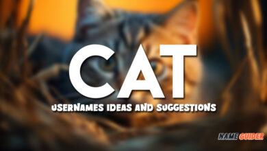 Cat Usernames Ideas and Suggestions