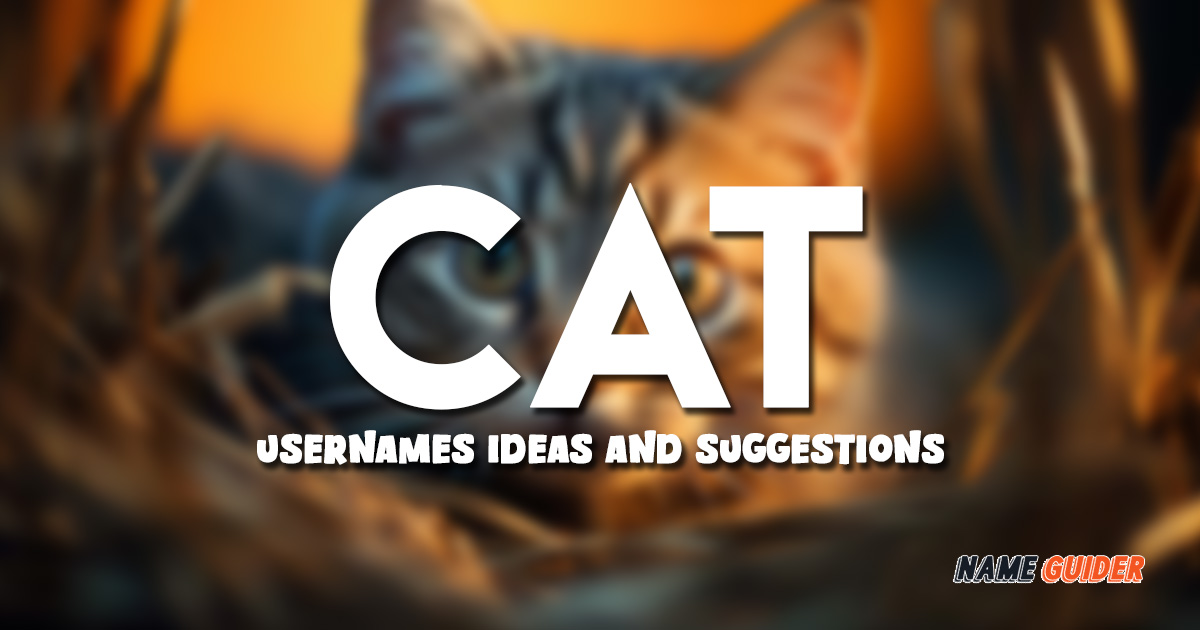 Cat Usernames Ideas and Suggestions