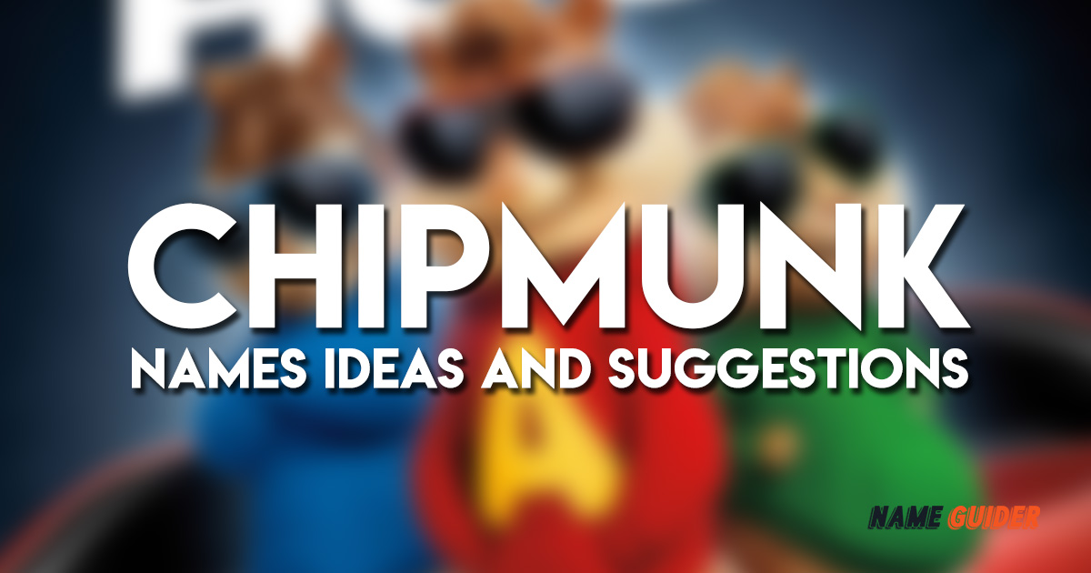 Chipmunk Names Ideas and Suggestions