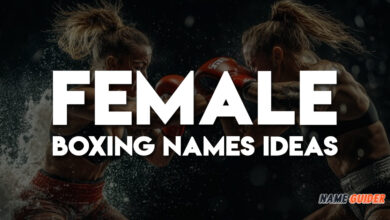 Female Boxing Names Ideas