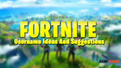 Fortnite Usernames Ideas and Suggestions