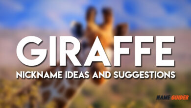 Giraffe Nickname Ideas and Suggestions