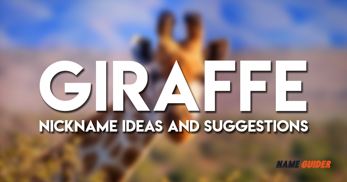 Giraffe Nickname Ideas and Suggestions