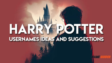 Harry Potter Usernames Ideas and Suggestions