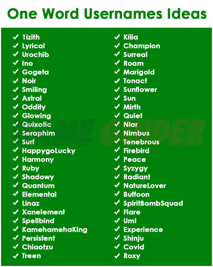 One Word Usernames Ideas