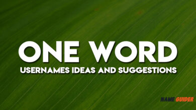 One Word Usernames Ideas and Suggestions