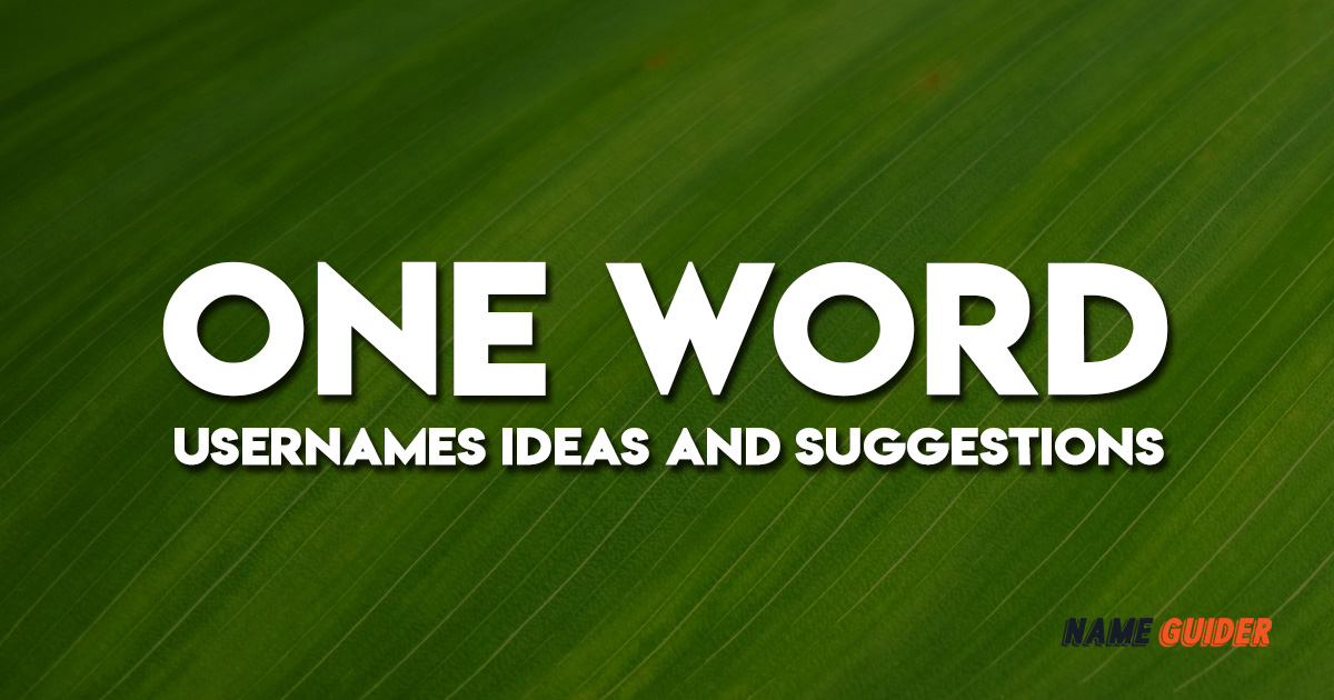 One Word Usernames Ideas and Suggestions