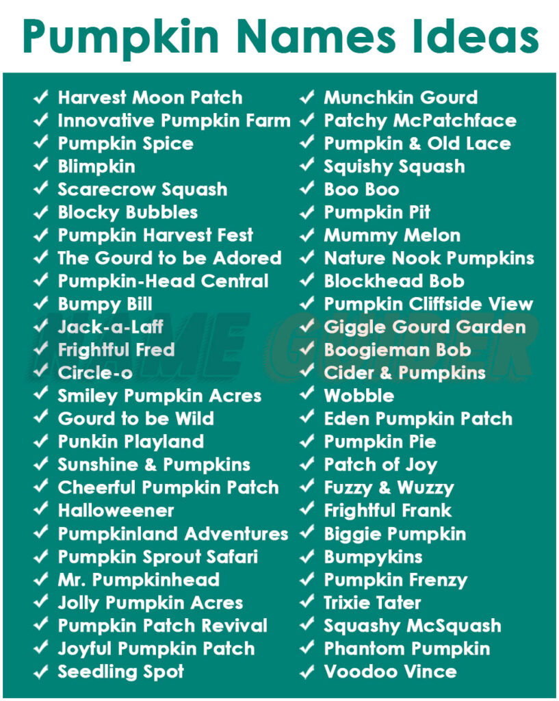 Pumpkin Names Ideas