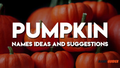 Pumpkin Names Ideas and Suggestions