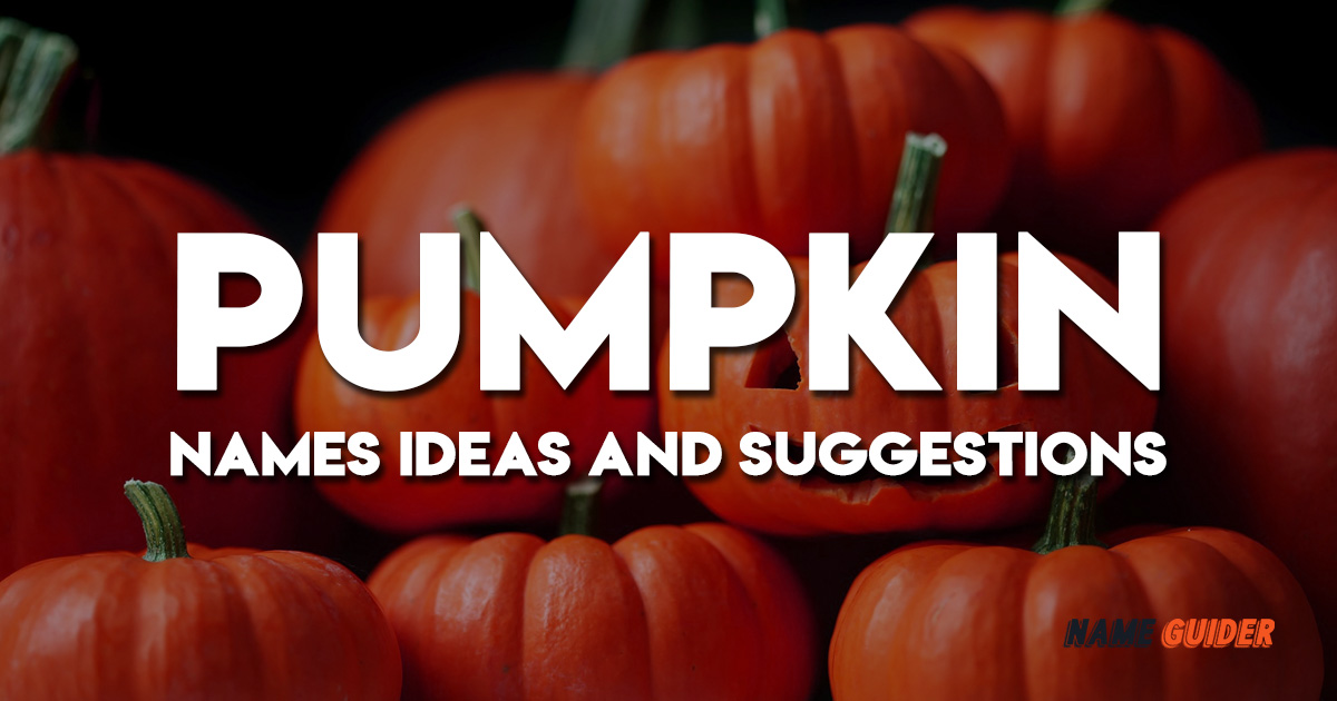 Pumpkin Names Ideas and Suggestions