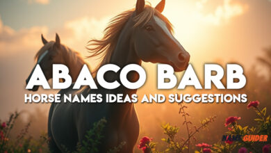 Abaco Barb Horses Names Ideas and Suggestions