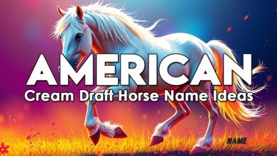 American Cream Draft Horse Name Ideas