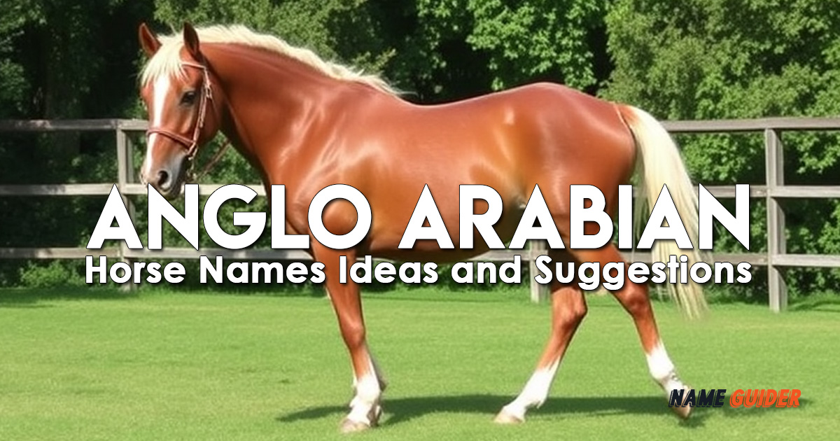 Anglo Arabian Horse Names Ideas and Suggestions