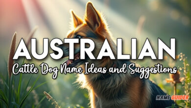 Australian Cattle Dog Name Ideas and Suggestions