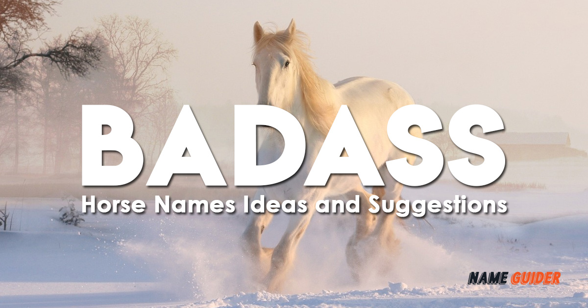 Badass Horse Names Ideas and Suggestions