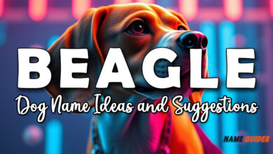 Beagle Dog Name Ideas and Suggestions