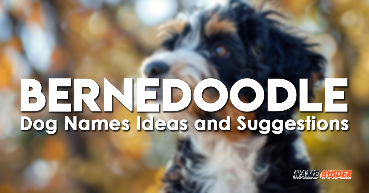 Bernedoodle Dog Names Ideas and Suggestions