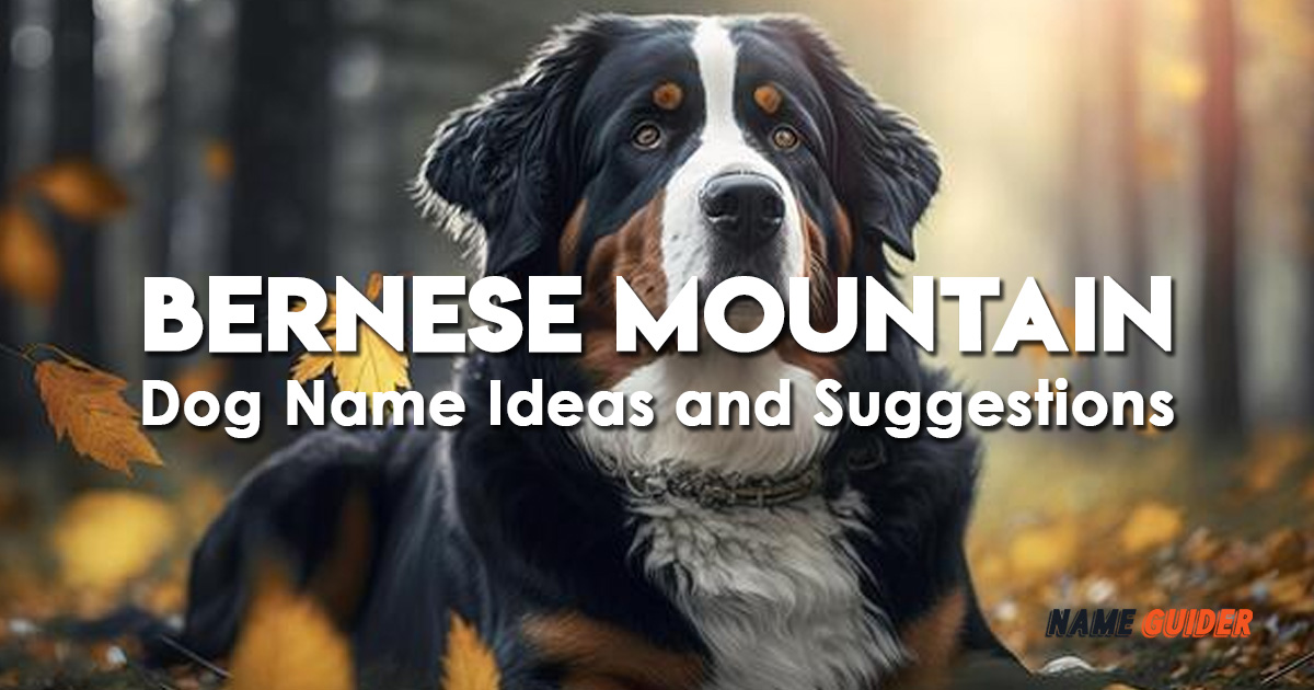 Bernese Mountain Dog Name Ideas and Suggestions