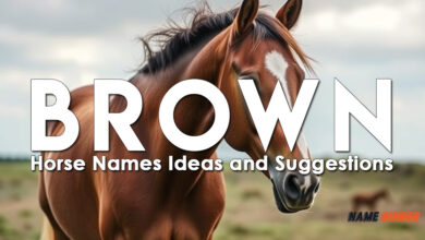 Brown Horse Names Ideas and Suggestions