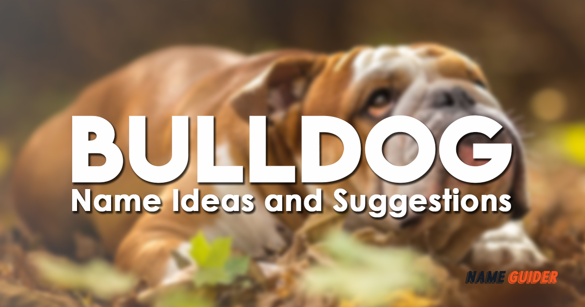 Bulldog Name Ideas and Suggestions