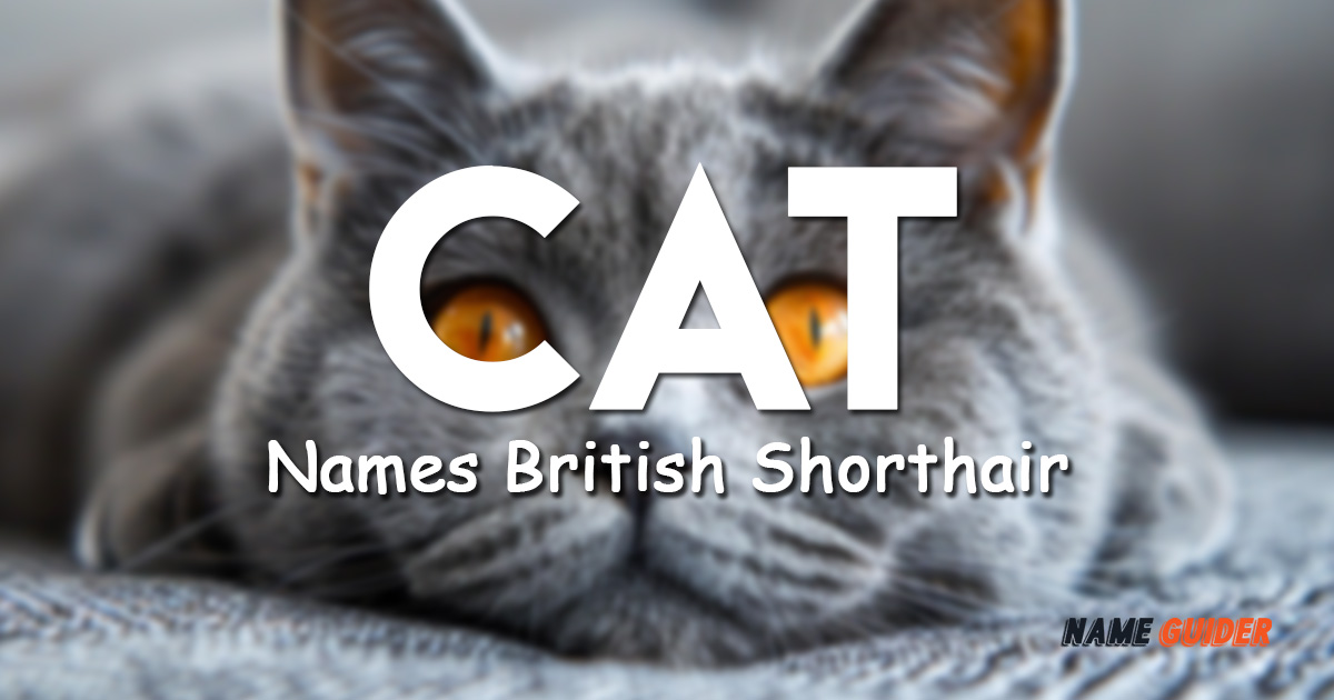 Cat Names British Shorthair