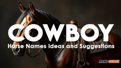 Cowboy Horse Names Ideas and Suggestions