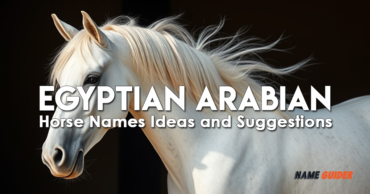 Egyptian Arabian Horse Names Ideas and Suggestions