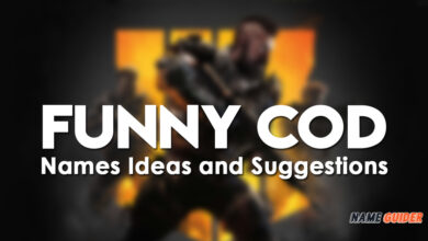 Funny COD Names Ideas and Suggestions