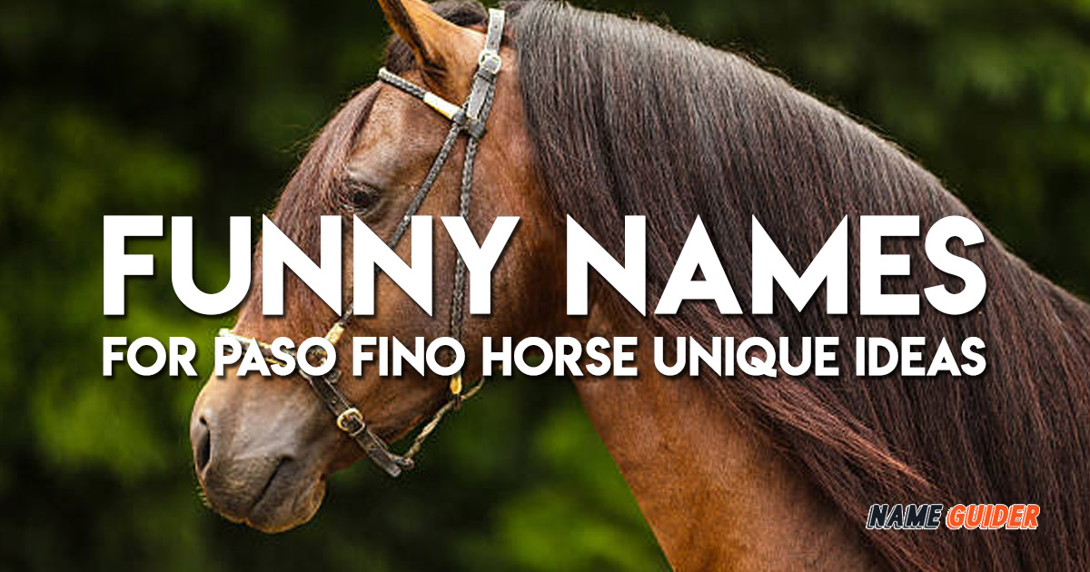 Funny Names For Paso Fino Horse Unique Ideas