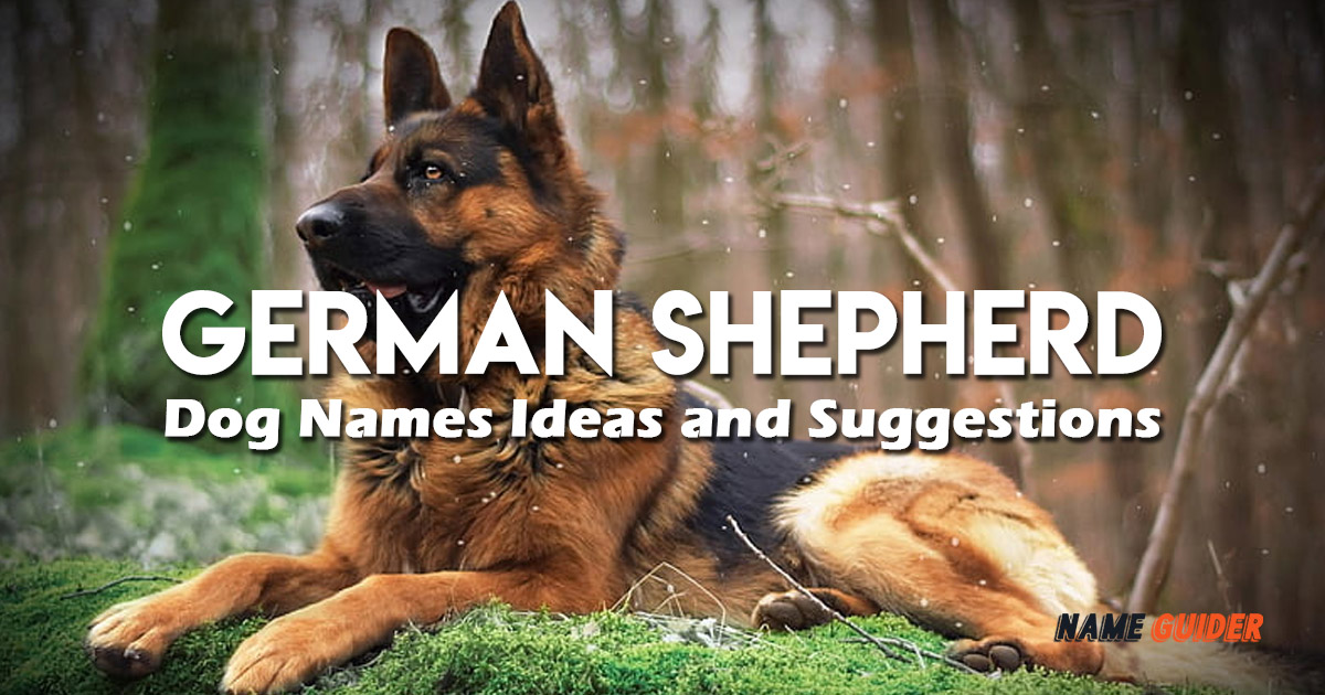 German Shepherd Dog Names Ideas and Suggestions