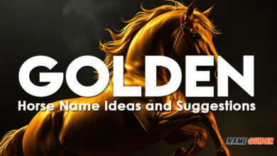 Golden Horse Name Ideas and Suggestions