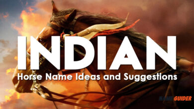 Indian Horse Name Ideas and Suggestions