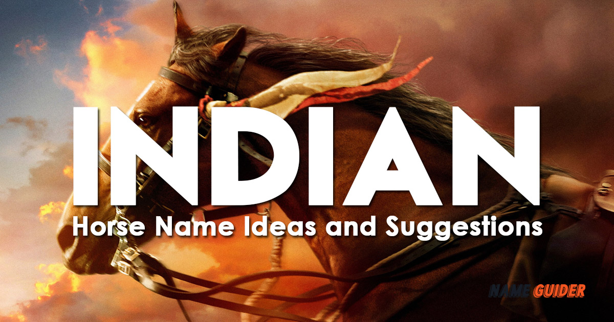 Indian Horse Name Ideas and Suggestions