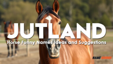 Jutland Horse Funny Names Ideas and Suggestions