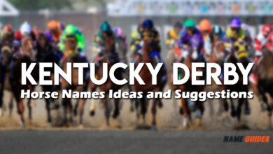 Kentucky Derby Horse Names Ideas and Suggestions