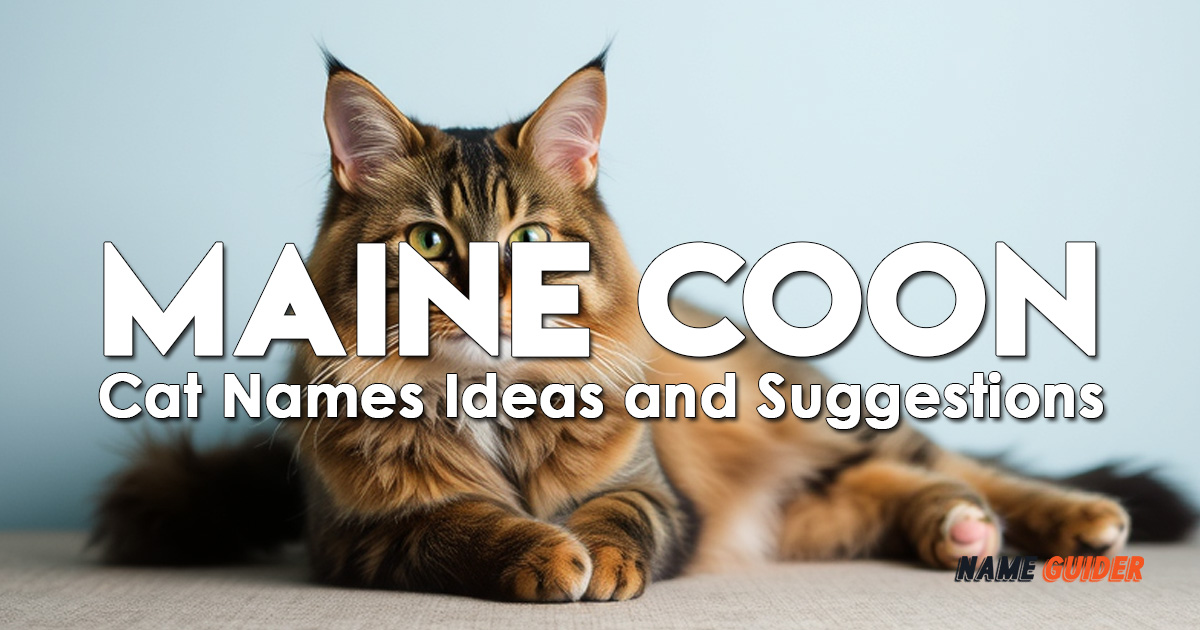 Maine Coon Cat Names Ideas and Suggestions