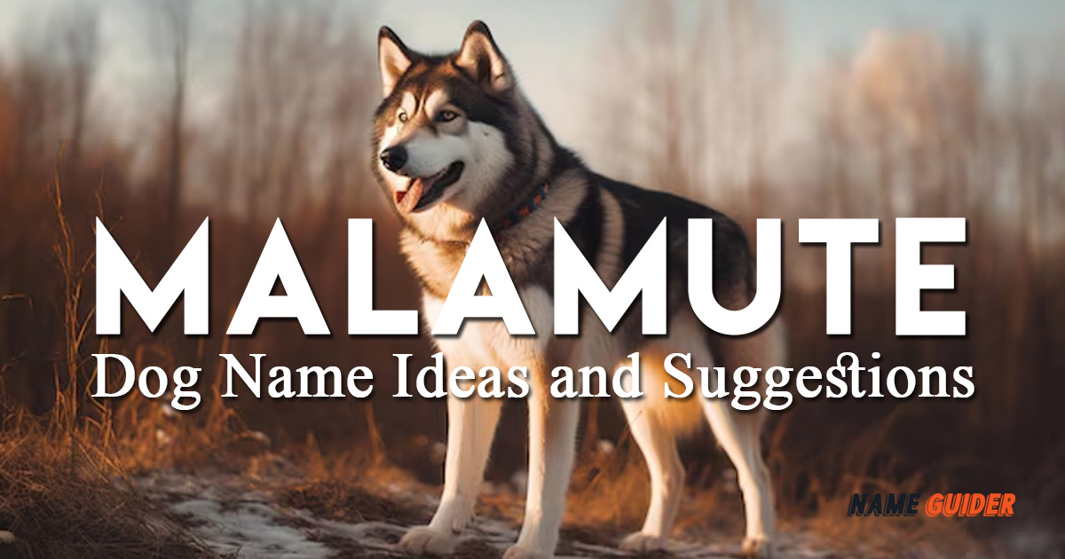 Malamute Dog Name Ideas and Suggestions