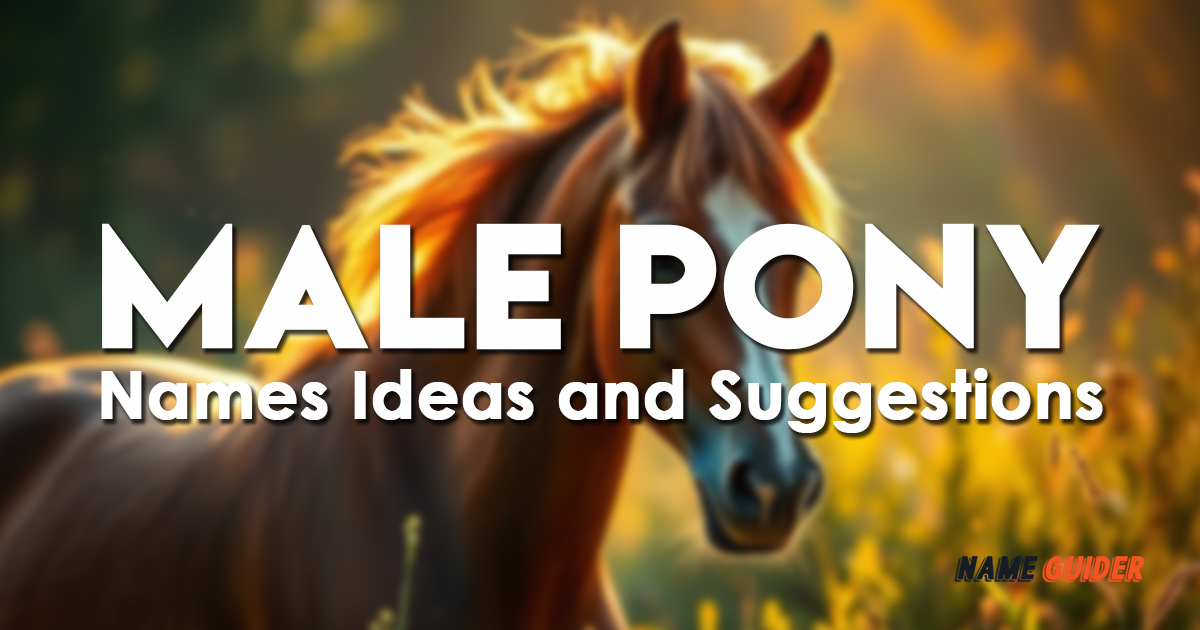 Male Pony Names Ideas and Suggestions