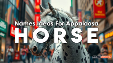 Names Ideas For Appaloosa Horse