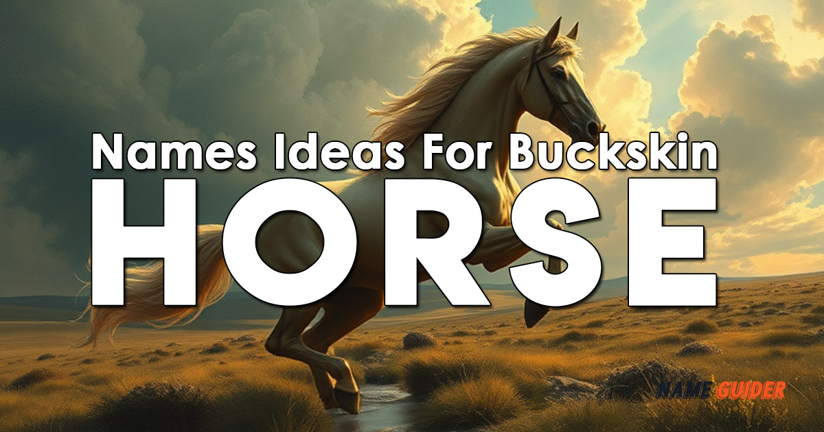 Names Ideas For Buckskin Horse