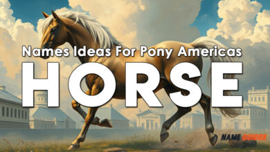 Names Ideas For Pony Americas Horse